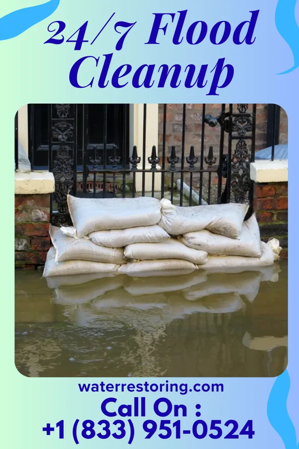 24/7 Flood Cleanup in Point Pleasant, WV