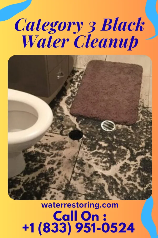 Category 3 Black Water Cleanup in Point Pleasant, WV