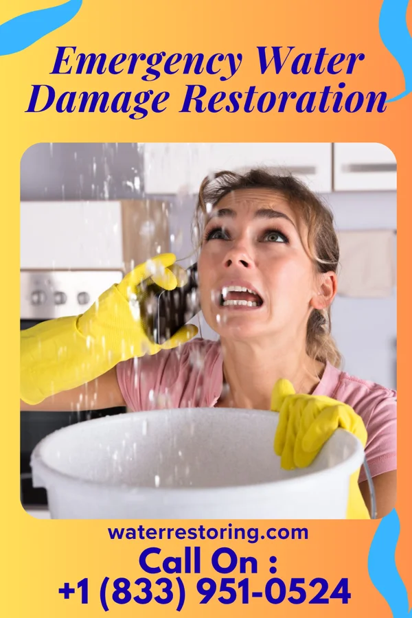 Emergency Water Damage Restoration in Point Pleasant, WV