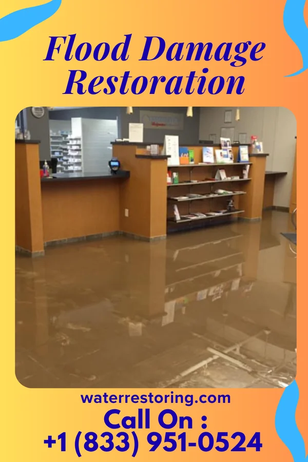 Flood Damage Restoration in Point Pleasant, WV