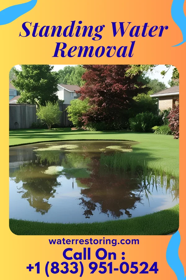 Standing Water Removal in Point Pleasant, WV